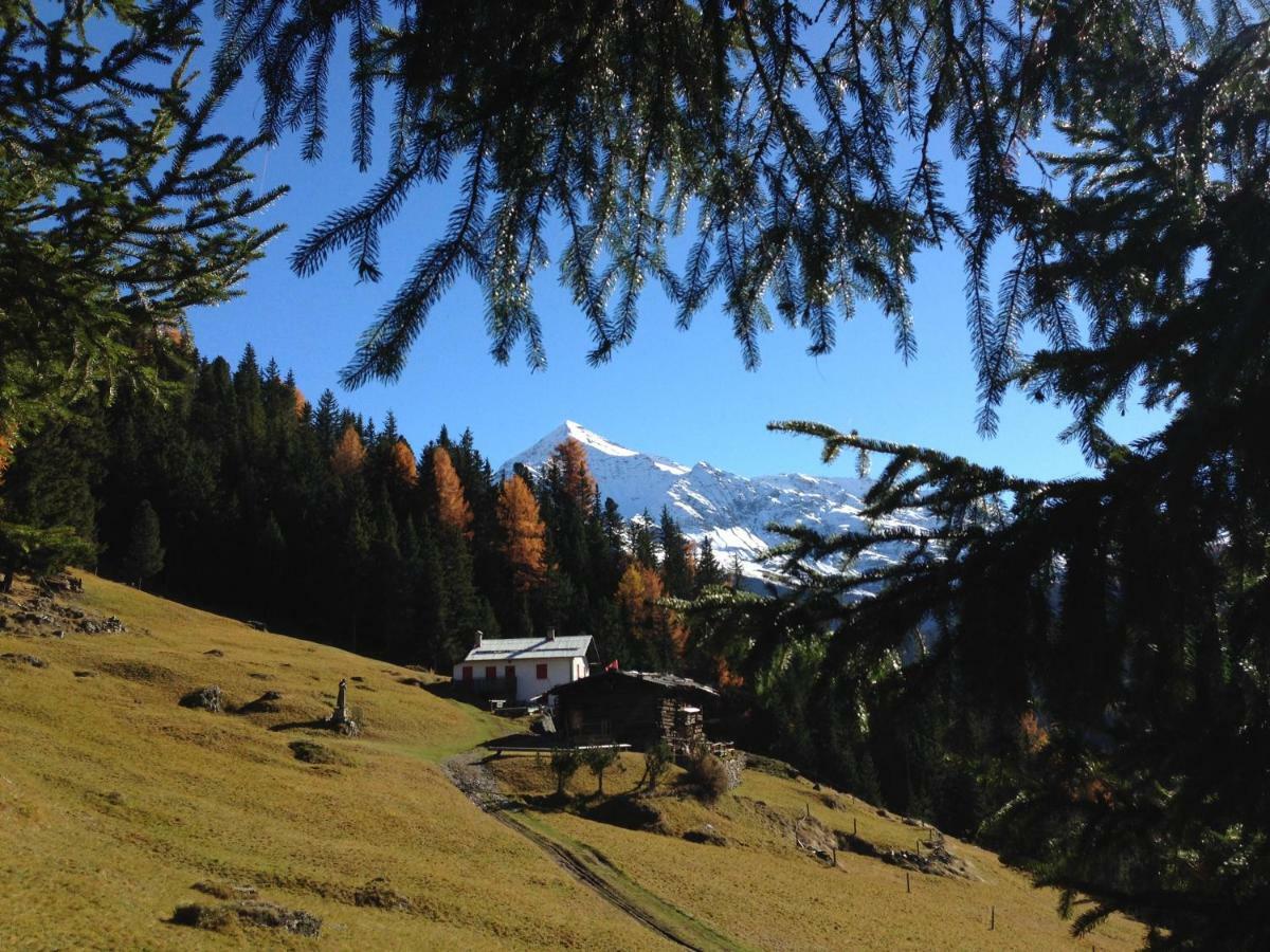 Chalet Del Bosco Valdisotto Exterior foto